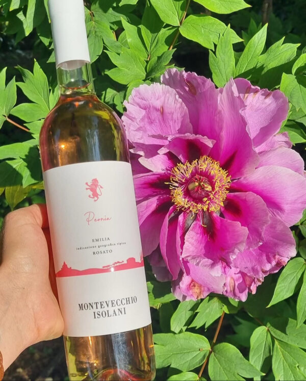 Rosato Peonia Montevecchio Isolani